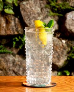 Copo Highball para gin